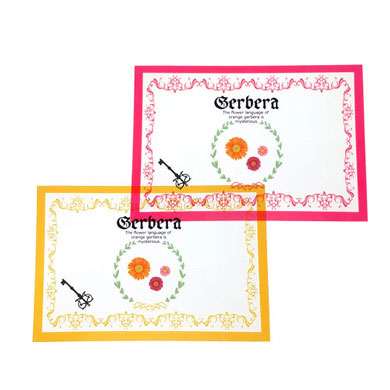 クリアポストカード 2種類注文 / オリジナルグッズの加陽印刷NET通販